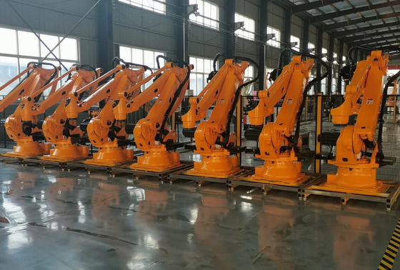 Smart Collaborative Robot Palletizer 180kg Gantry Robot Palletizer